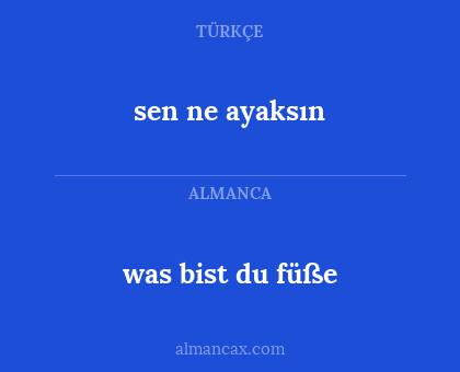 sen ne ayaksın - was bist du füße