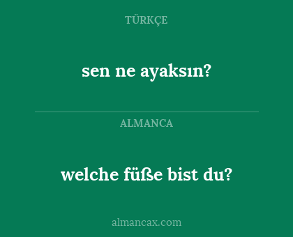 sen ne ayaksın? - welche füße bist du?