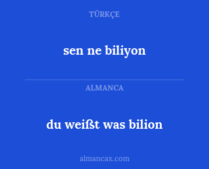 du weißt was bilion - sen ne biliyon