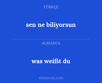 sen ne biliyorsun - was weißt du
