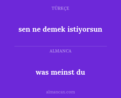 was meinst du - sen ne demek istiyorsun