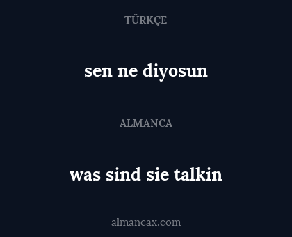 was sind sie talkin - sen ne diyosun