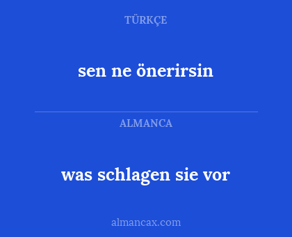 was schlagen sie vor - sen ne önerirsin