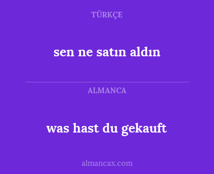 sen ne satın aldın - was hast du gekauft