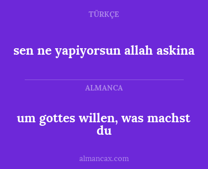 sen ne yapiyorsun allah askina - um gottes willen, was machst du