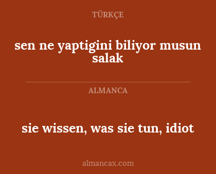 sen ne yaptigini biliyor musun salak - sie wissen, was sie tun, idiot