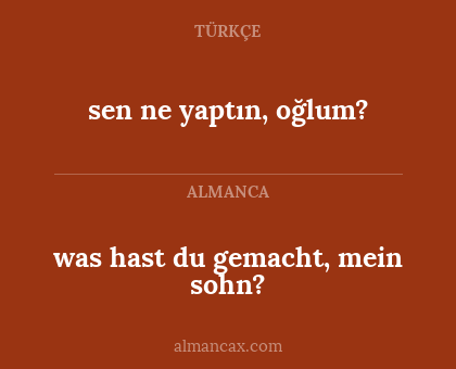 was hast du gemacht, mein sohn? - sen ne yaptın, oğlum?