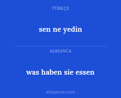 sen ne yedin - was haben sie essen