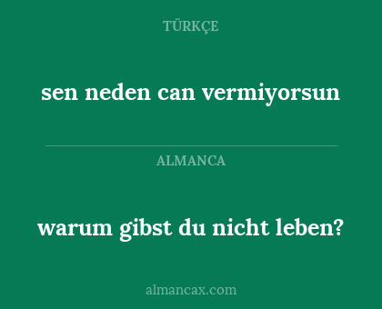 warum gibst du nicht leben? - sen neden can vermiyorsun