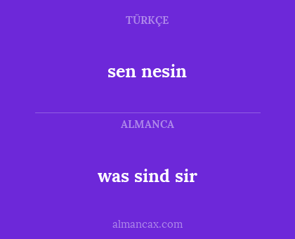 was sind sir - sen nesin