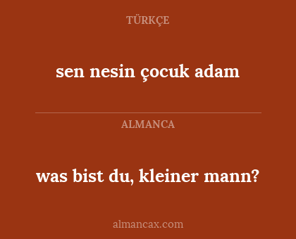 sen nesin çocuk adam - was bist du, kleiner mann?