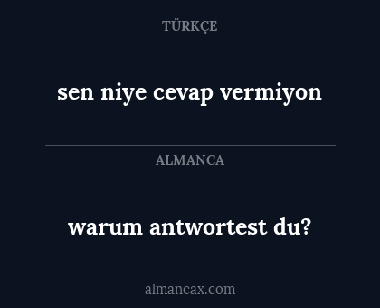 warum antwortest du? - sen niye cevap vermiyon