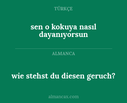 wie stehst du diesen geruch? - sen o kokuya nasıl dayanıyorsun