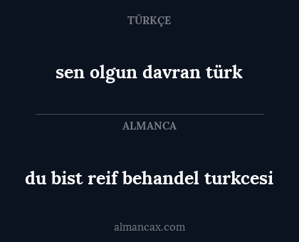 sen olgun davran türk - du bist reif behandel turkcesi
