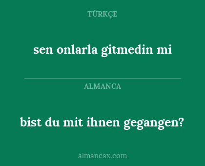 sen onlarla gitmedin mi - bist du mit ihnen gegangen?