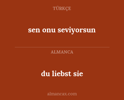 sen onu seviyorsun - du liebst sie