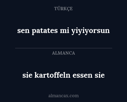 sen patates mi yiyiyorsun - sie kartoffeln essen sie