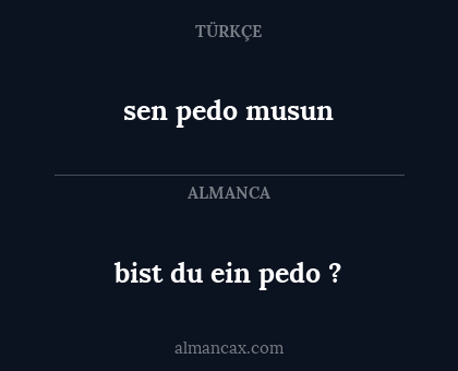 bist du ein pedo ? - sen pedo musun