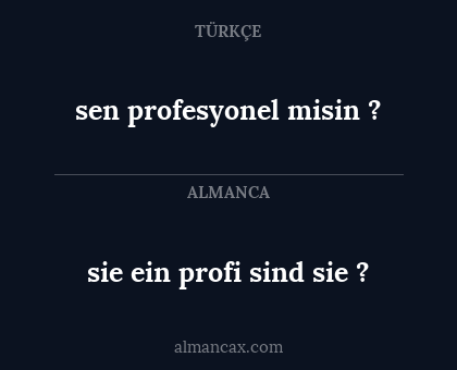 sie ein profi sind sie ? - sen profesyonel misin ?