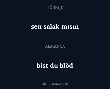 bist du blöd - sen salak mısın
