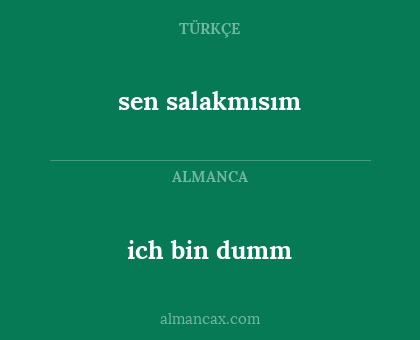 ich bin dumm - sen salakmısım