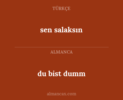 sen salaksın - du bist dumm