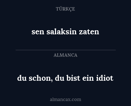 sen salaksin zaten - du schon, du bist ein idiot