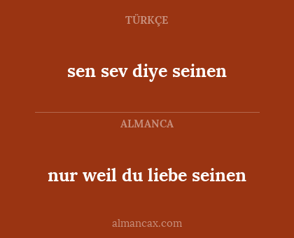 nur weil du liebe seinen - sen sev diye seinen