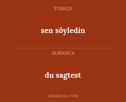 du sagtest - sen söyledin