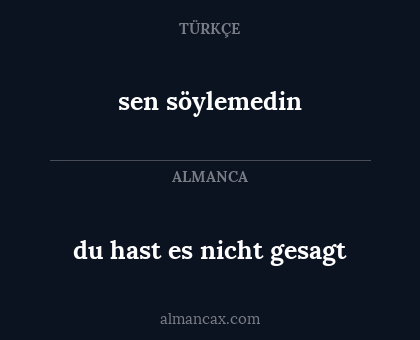 sen söylemedin - du hast es nicht gesagt