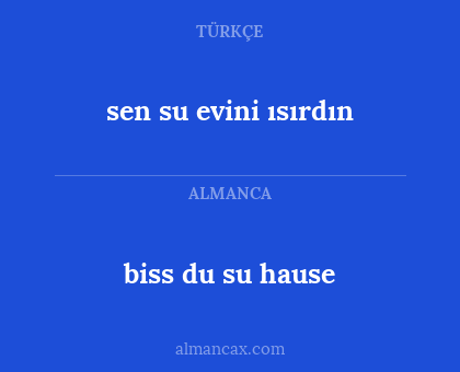 sen su evini ısırdın - biss du su hause