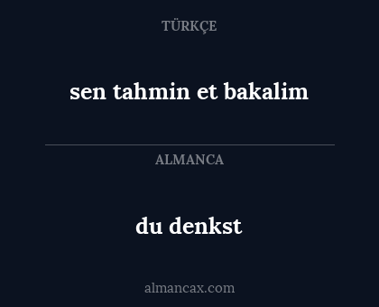 sen tahmin et bakalim - du denkst