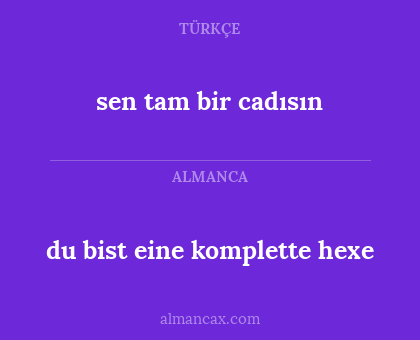 du bist eine komplette hexe - sen tam bir cadısın