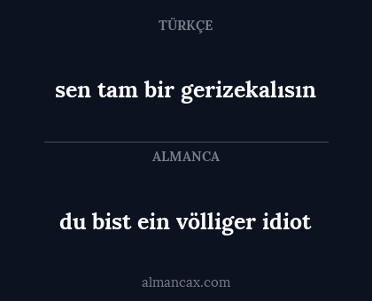 sen tam bir gerizekalısın - du bist ein völliger idiot