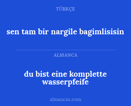 sen tam bir nargile bagimlisisin - du bist eine komplette wasserpfeife