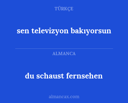 sen televizyon bakıyorsun - du schaust fernsehen