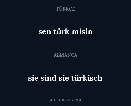 sie sind sie türkisch - sen türk misin