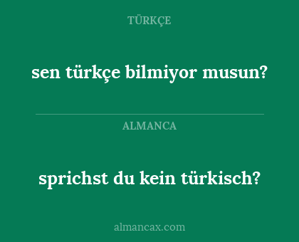 sprichst du kein türkisch? - sen türkçe bilmiyor musun?