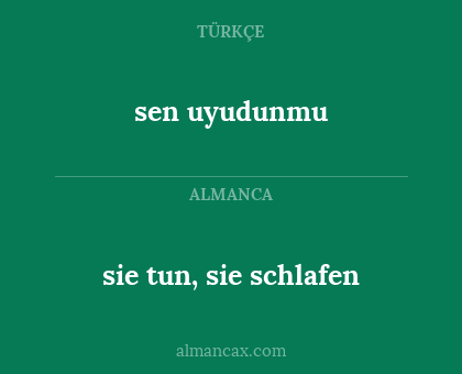 sen uyudunmu - sie tun, sie schlafen