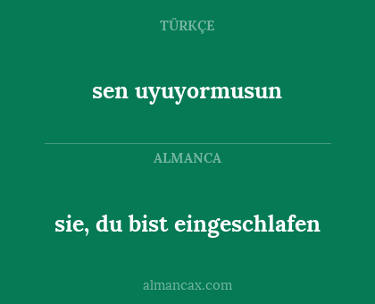 sen uyuyormusun - sie, du bist eingeschlafen
