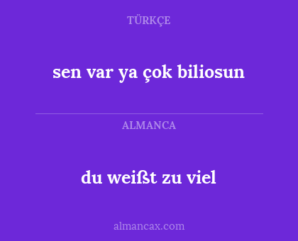 sen var ya çok biliosun - du weißt zu viel