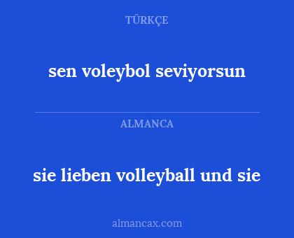 sie lieben volleyball und sie - sen voleybol seviyorsun