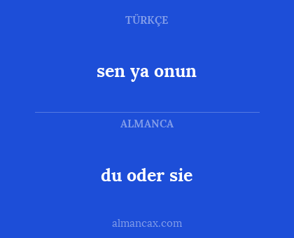 sen ya onun - du oder sie