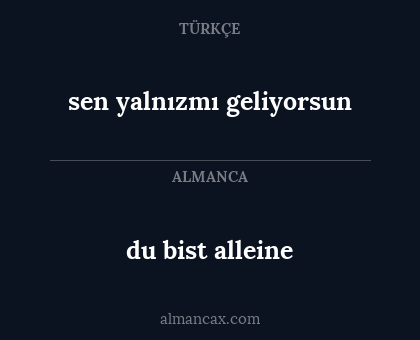 du bist alleine - sen yalnızmı geliyorsun