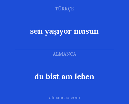 du bist am leben - sen yaşıyor musun