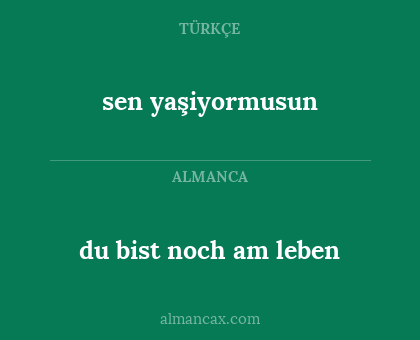 du bist noch am leben - sen yaşiyormusun