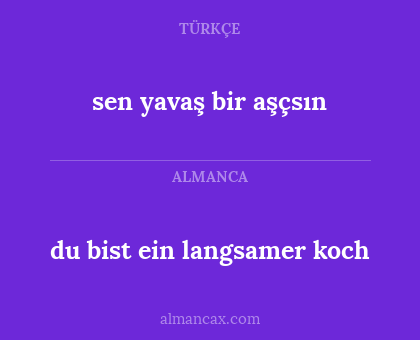 du bist ein langsamer koch - sen yavaş bir aşçsın