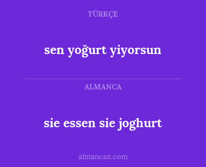 sen yoğurt yiyorsun - sie essen sie joghurt