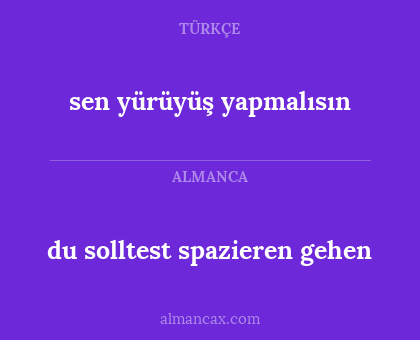 sen yürüyüş yapmalısın - du solltest spazieren gehen
