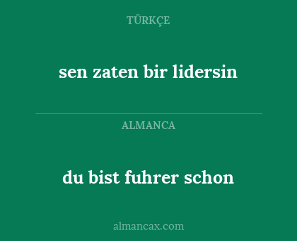 sen zaten bir lidersin - du bist fuhrer schon